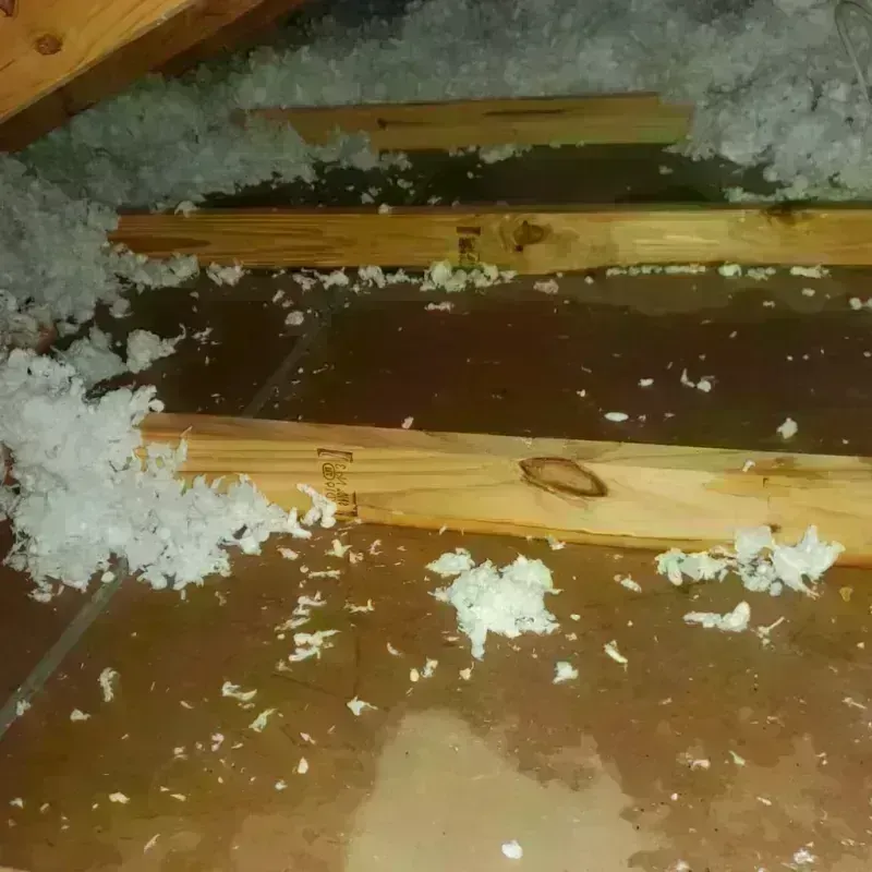 Attic Water Damage in Mound City, KS