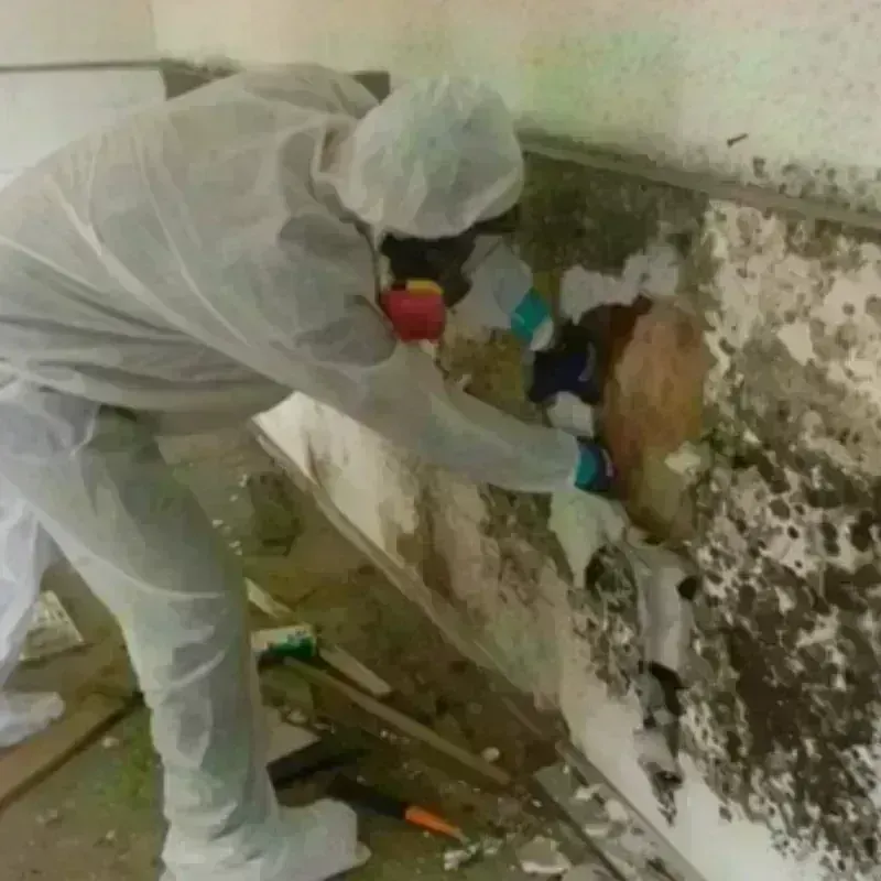 Mold Remediation and Removal in Mound City, KS