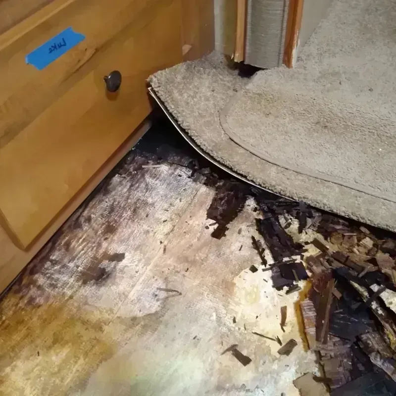 Wood Floor Water Damage in Mound City, KS